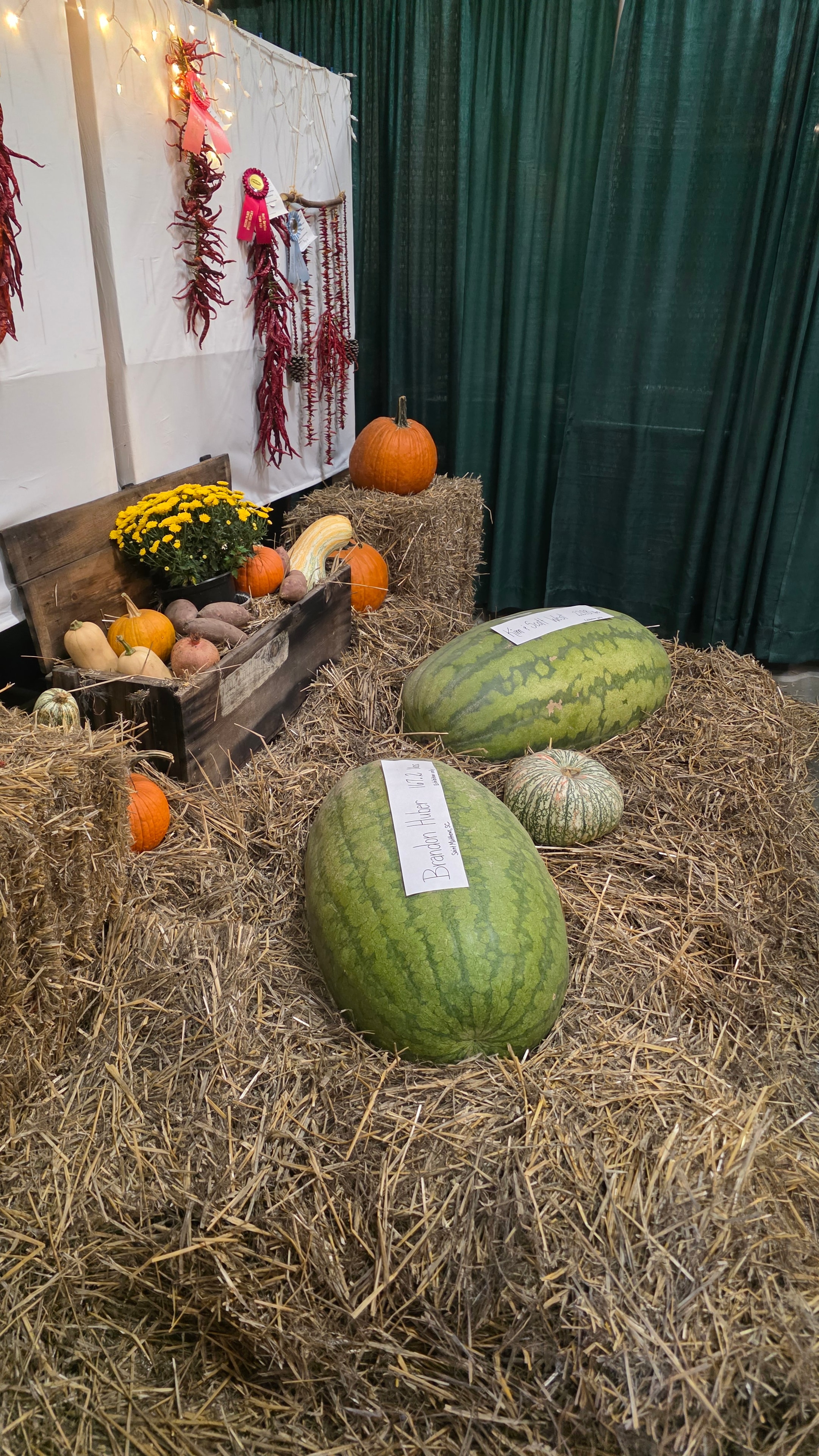 NC State Fair 2026 — produce and harvest display